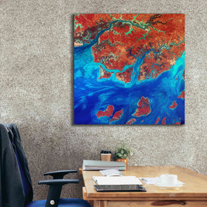 'Earth as Art: Guinea-Bissau ' Canvas Wall Art,37 x 37