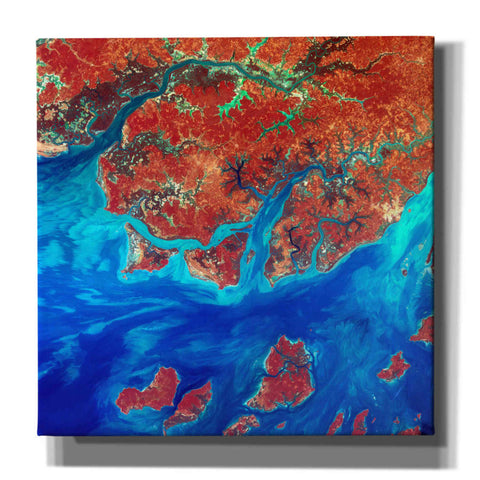 Image of 'Earth as Art: Guinea-Bissau ' Canvas Wall Art