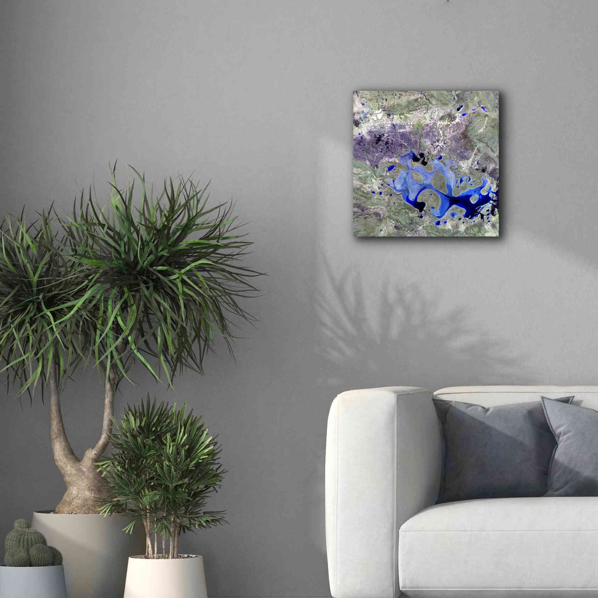 'Earth as Art: Lake Carnegie' Canvas Wall Art,18 x 18