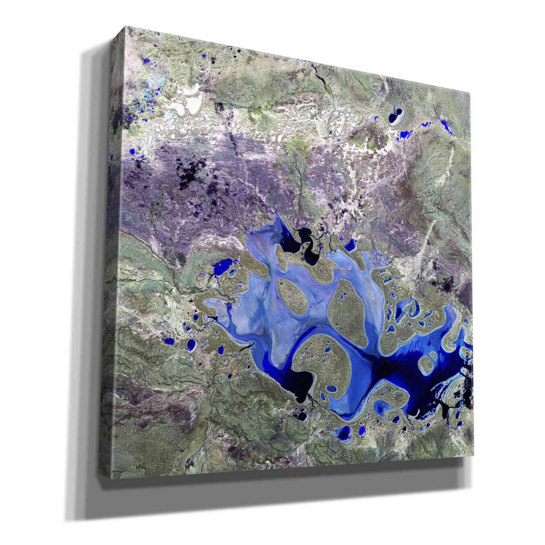 'Earth as Art: Lake Carnegie' Canvas Wall Art