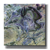 'Earth as Art: MacDonnel Ranges' Canvas Wall Art