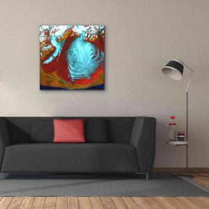 'Earth as Art: Malaspina Glacier' Canvas Wall Art,37 x 37
