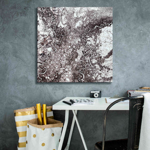 'Earth as Art: Mayn River' Canvas Wall Art,26 x 26