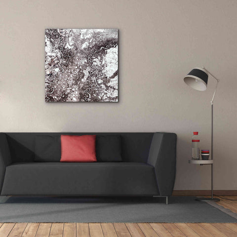 Image of 'Earth as Art: Mayn River' Canvas Wall Art,37 x 37