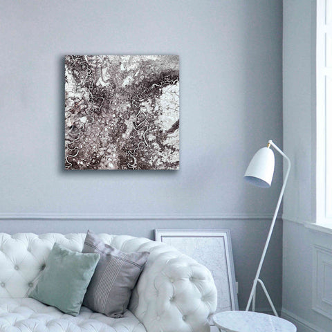 Image of 'Earth as Art: Mayn River' Canvas Wall Art,37 x 37