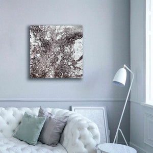 'Earth as Art: Mayn River' Canvas Wall Art,37 x 37