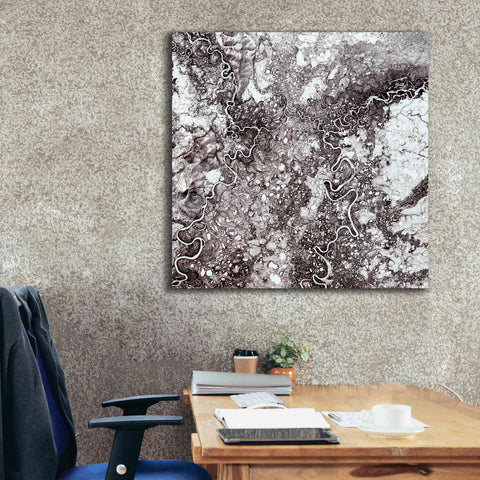 Image of 'Earth as Art: Mayn River' Canvas Wall Art,37 x 37