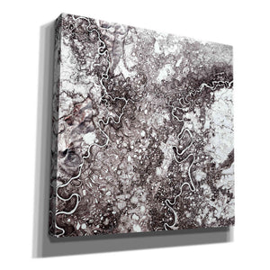 'Earth as Art: Mayn River' Canvas Wall Art