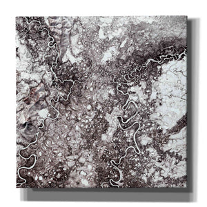 'Earth as Art: Mayn River' Canvas Wall Art