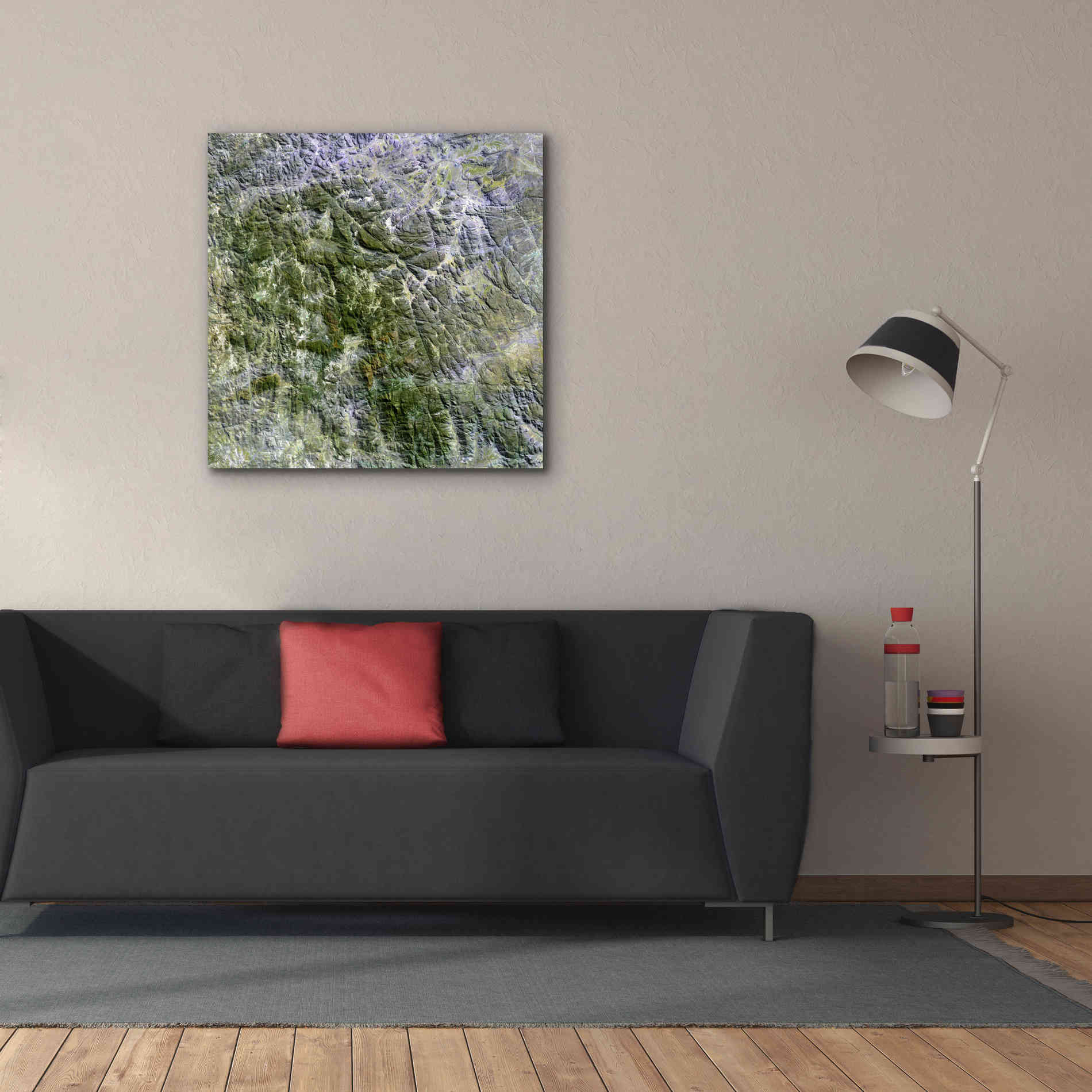 'Earth as Art: Namaqualand ' Canvas Wall Art,37 x 37