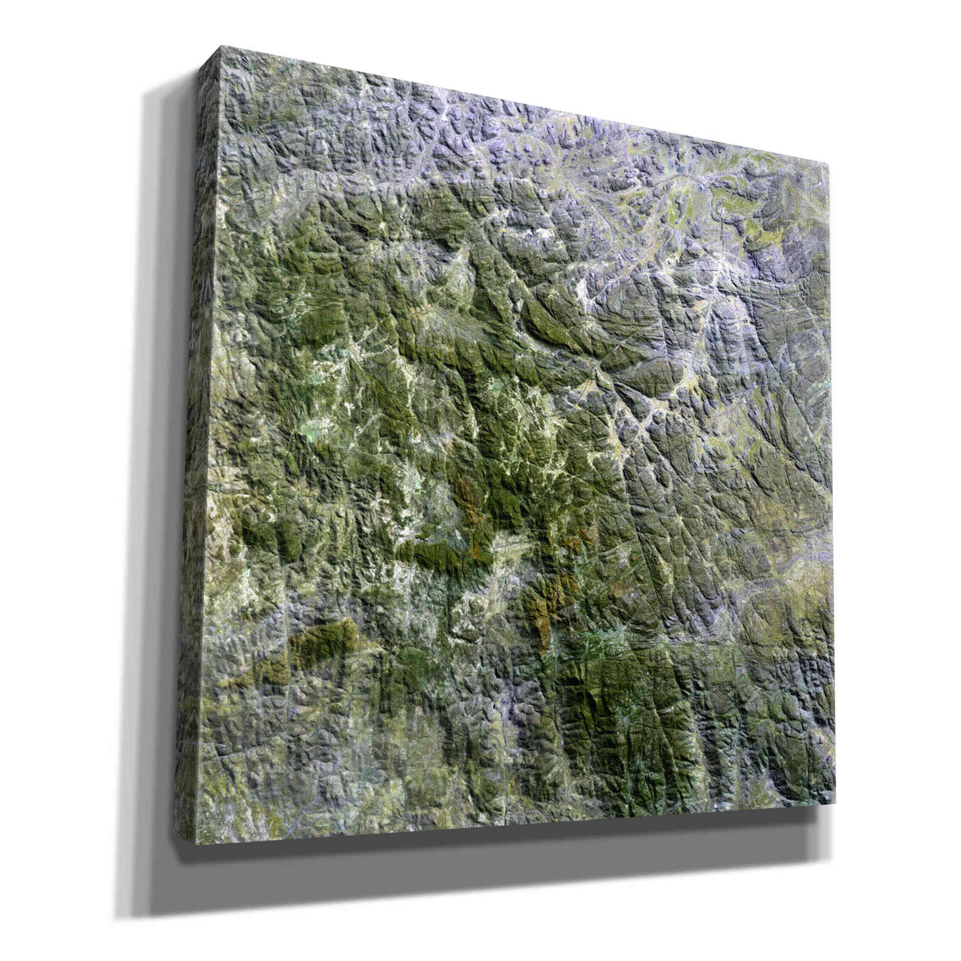 'Earth as Art: Namaqualand ' Canvas Wall Art