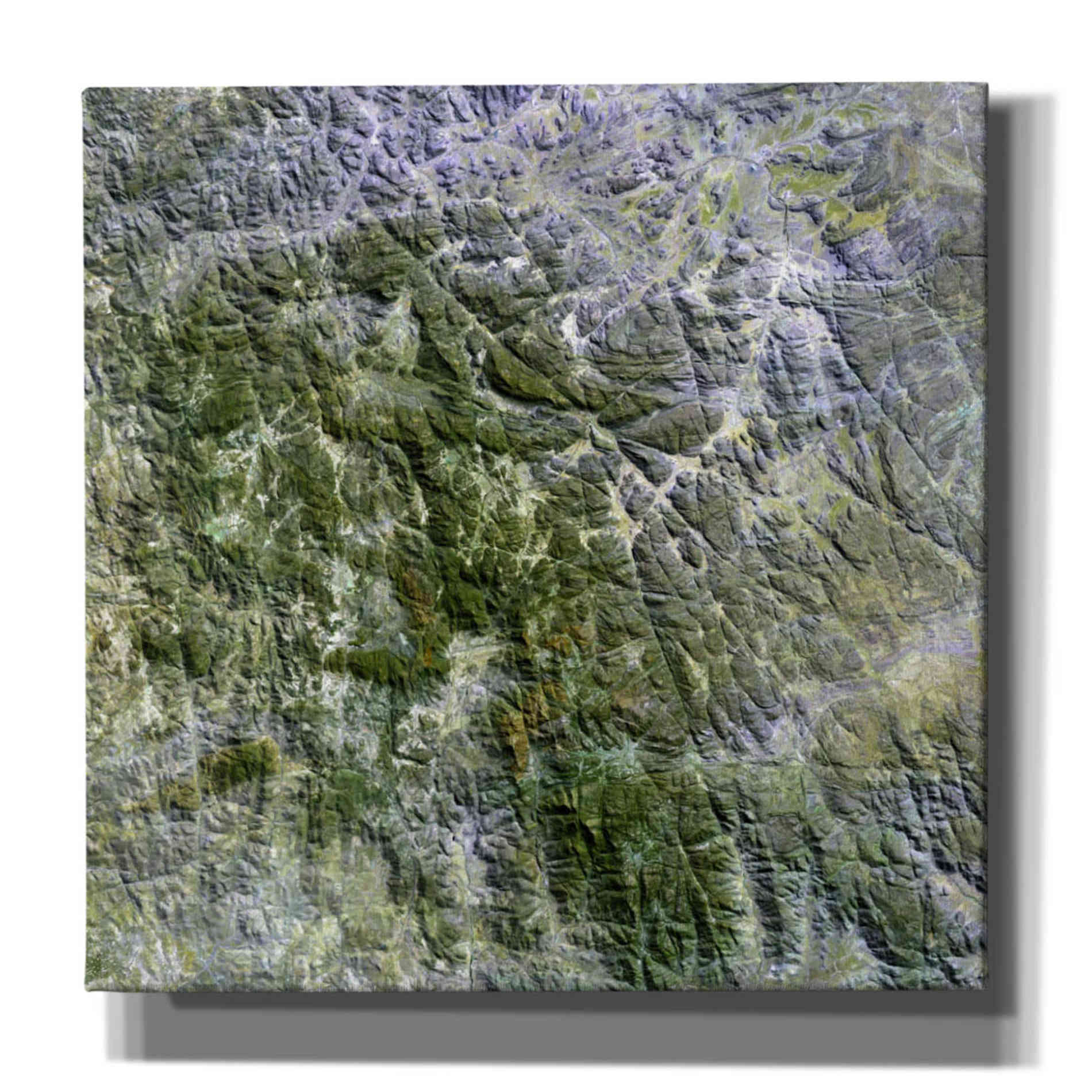 'Earth as Art: Namaqualand ' Canvas Wall Art