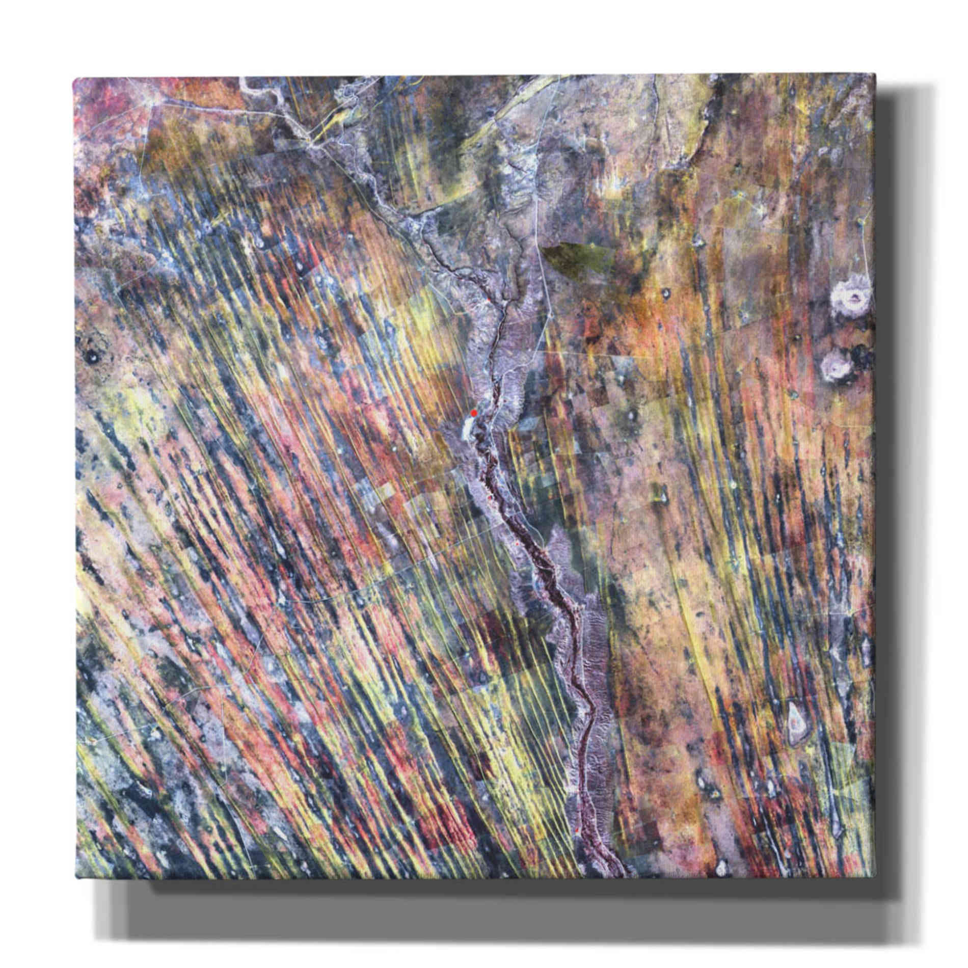 'Earth as Art: The Optimist' Canvas Wall Art