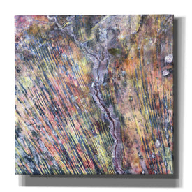 'Earth as Art: The Optimist' Canvas Wall Art