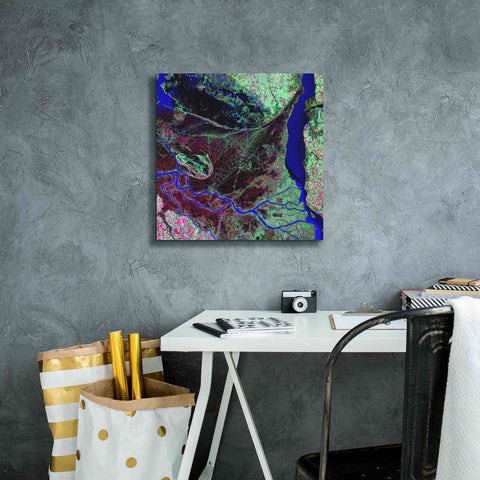 Image of 'Earth as Art: Parana River Delta' Canvas Wall Art,18 x 18