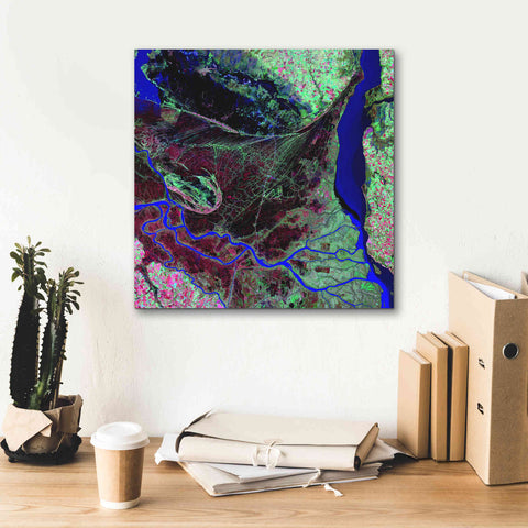 Image of 'Earth as Art: Parana River Delta' Canvas Wall Art,18 x 18