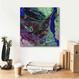 'Earth as Art: Parana River Delta' Canvas Wall Art,18 x 18