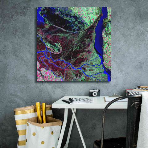 Image of 'Earth as Art: Parana River Delta' Canvas Wall Art,26 x 26
