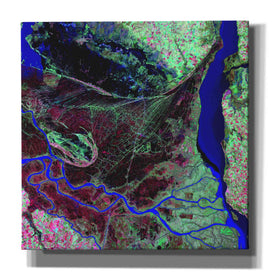 'Earth as Art: Parana River Delta' Canvas Wall Art