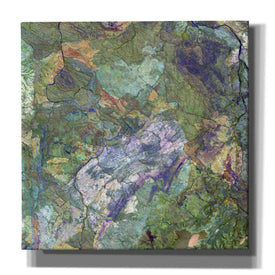 'Earth as Art: Great Sandy Desert' Canvas Wall Art