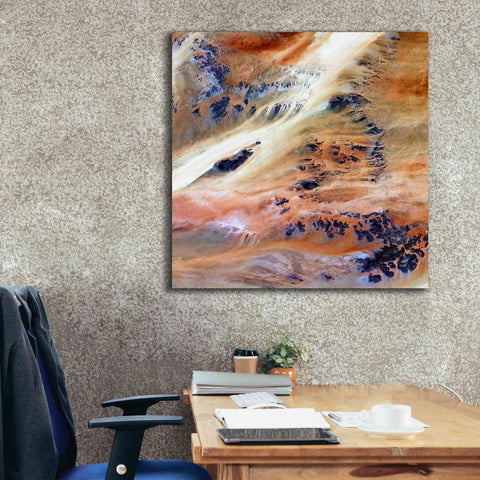 Image of 'Earth as Art: Terkezi Oasis' Canvas Wall Art,37 x 37