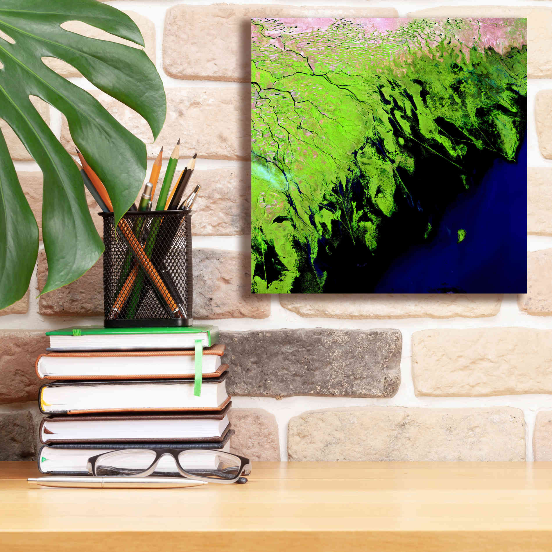'Earth as Art: Volga River Delta' Canvas Wall Art,12 x 12