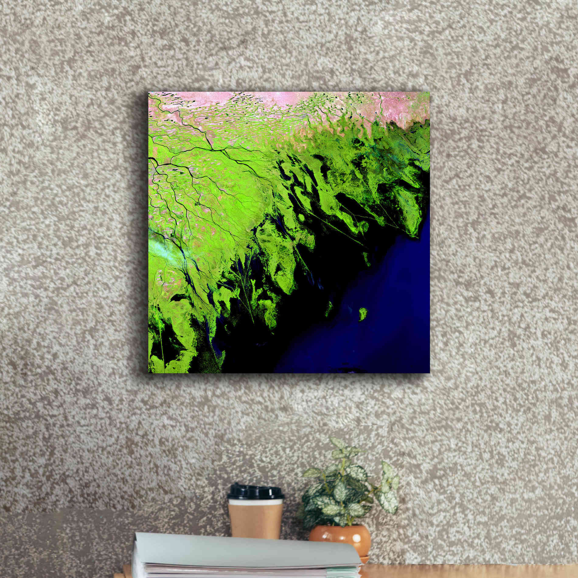 'Earth as Art: Volga River Delta' Canvas Wall Art,18 x 18