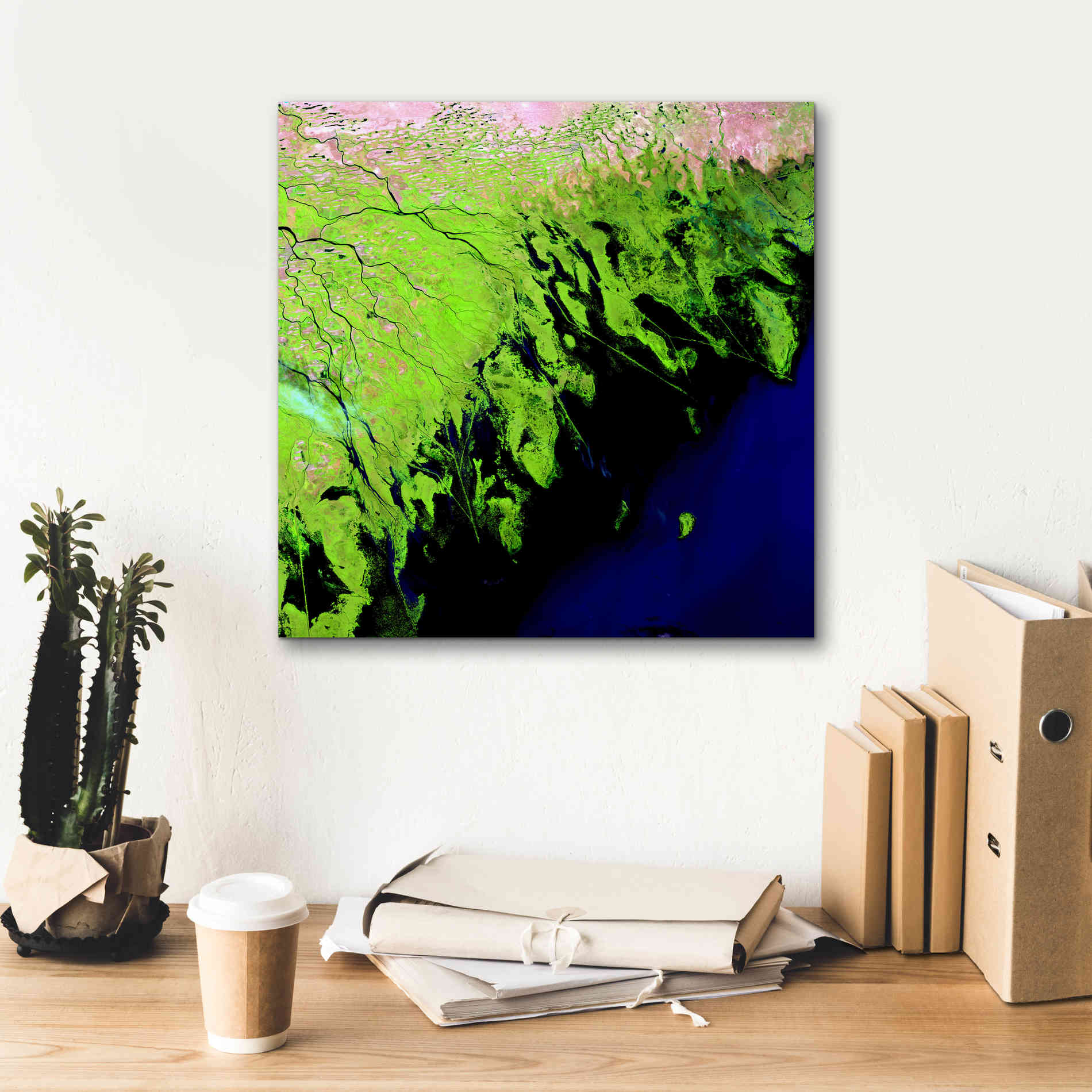 'Earth as Art: Volga River Delta' Canvas Wall Art,18 x 18