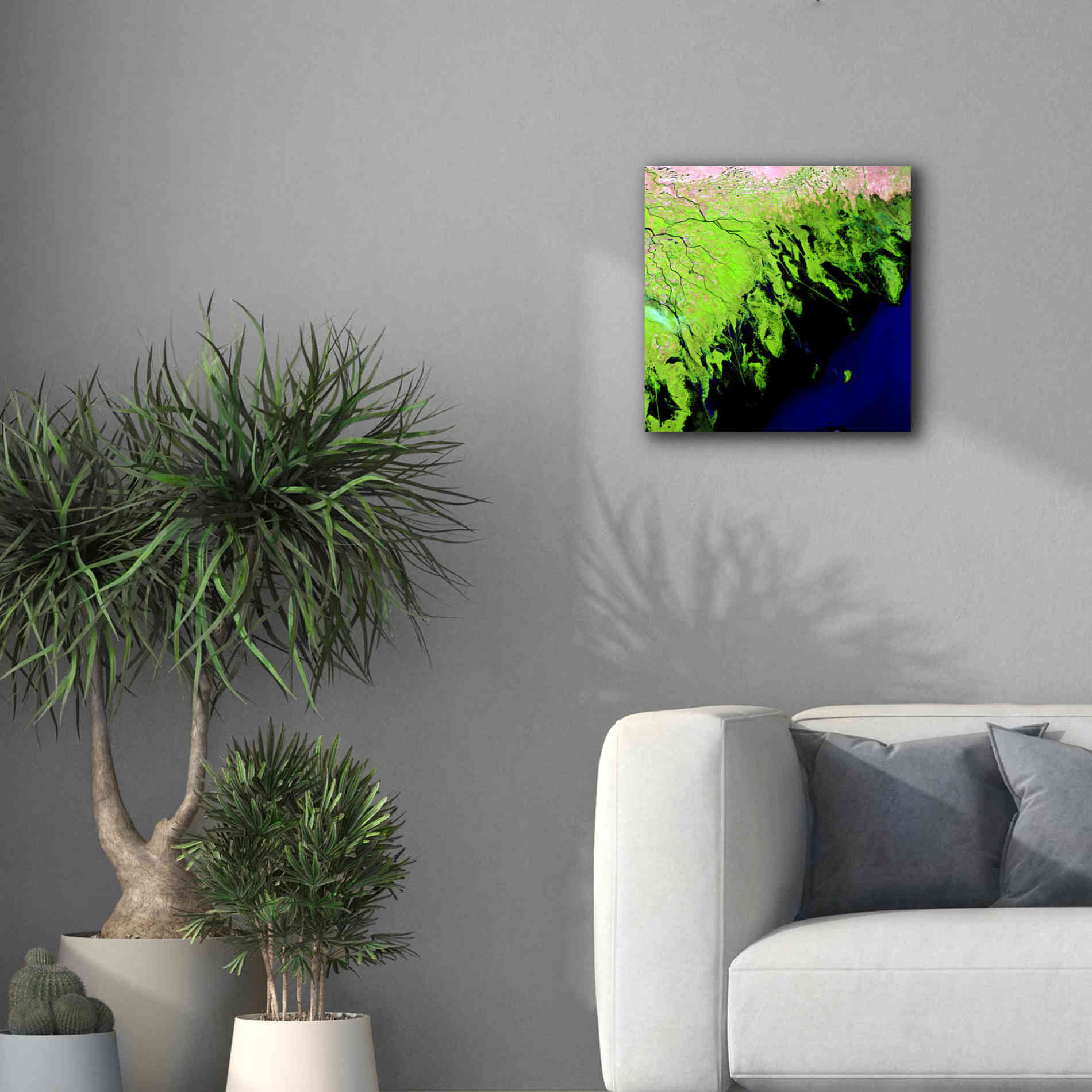 'Earth as Art: Volga River Delta' Canvas Wall Art,18 x 18
