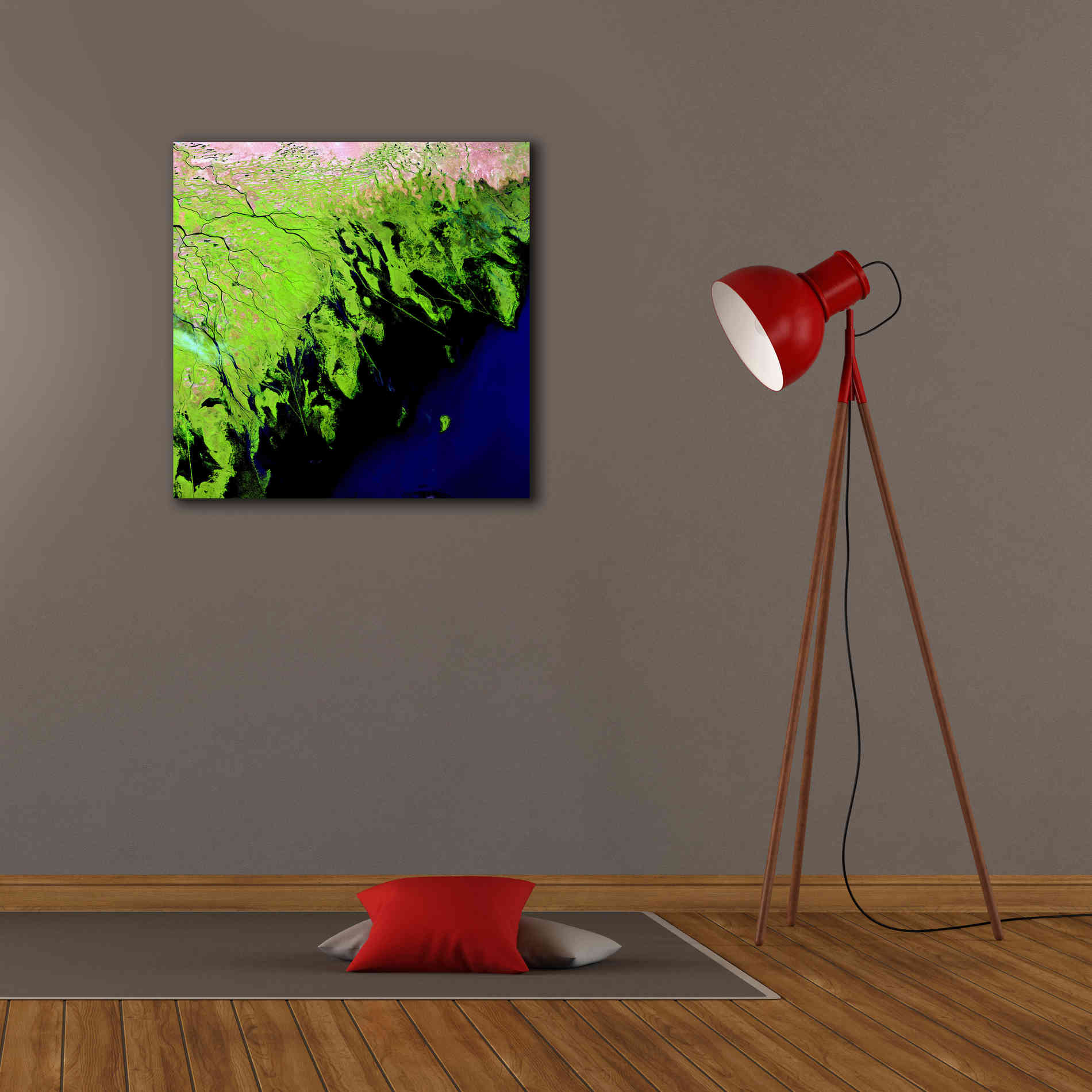 'Earth as Art: Volga River Delta' Canvas Wall Art,26 x 26