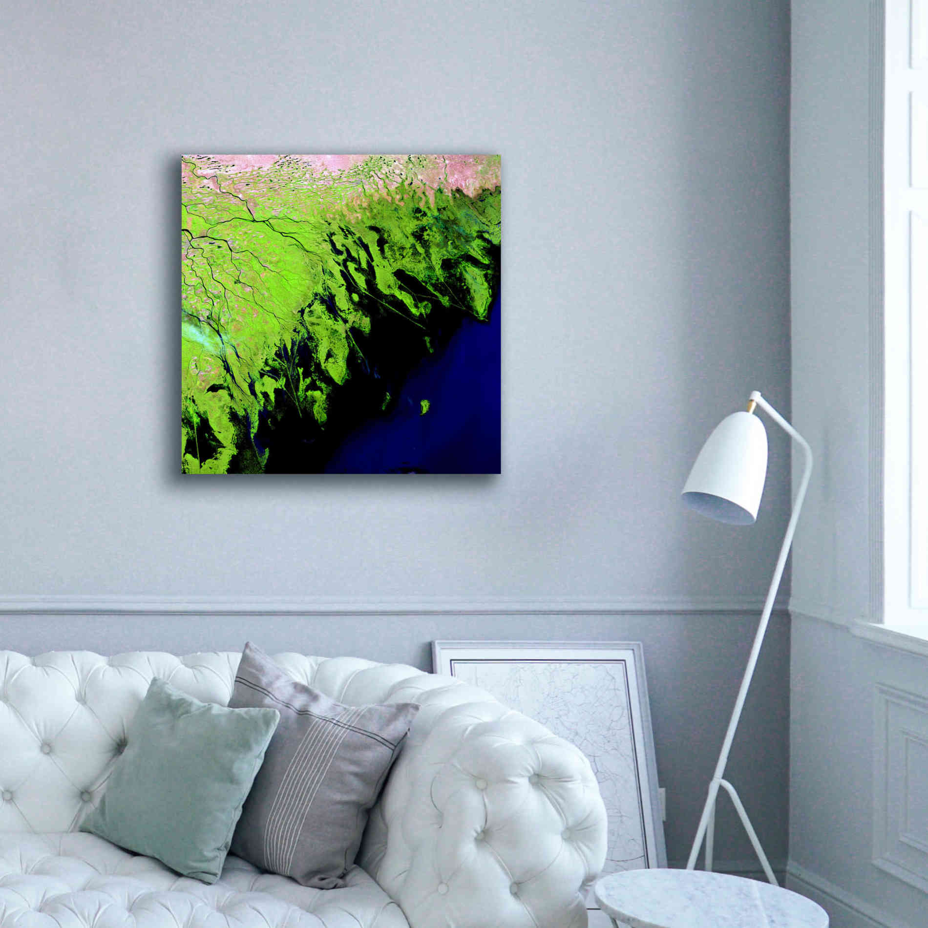 'Earth as Art: Volga River Delta' Canvas Wall Art,37 x 37