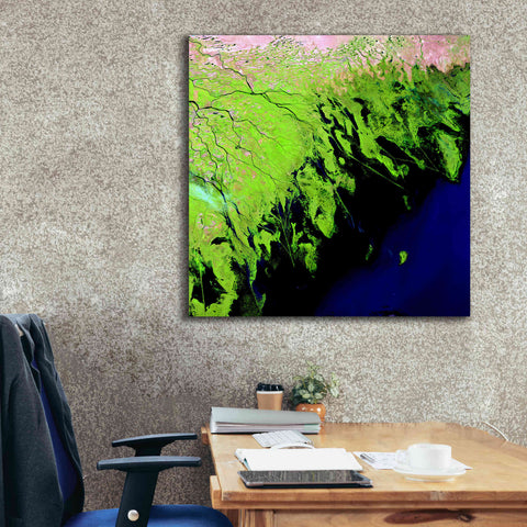 Image of 'Earth as Art: Volga River Delta' Canvas Wall Art,37 x 37