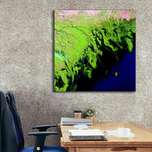 'Earth as Art: Volga River Delta' Canvas Wall Art,37 x 37