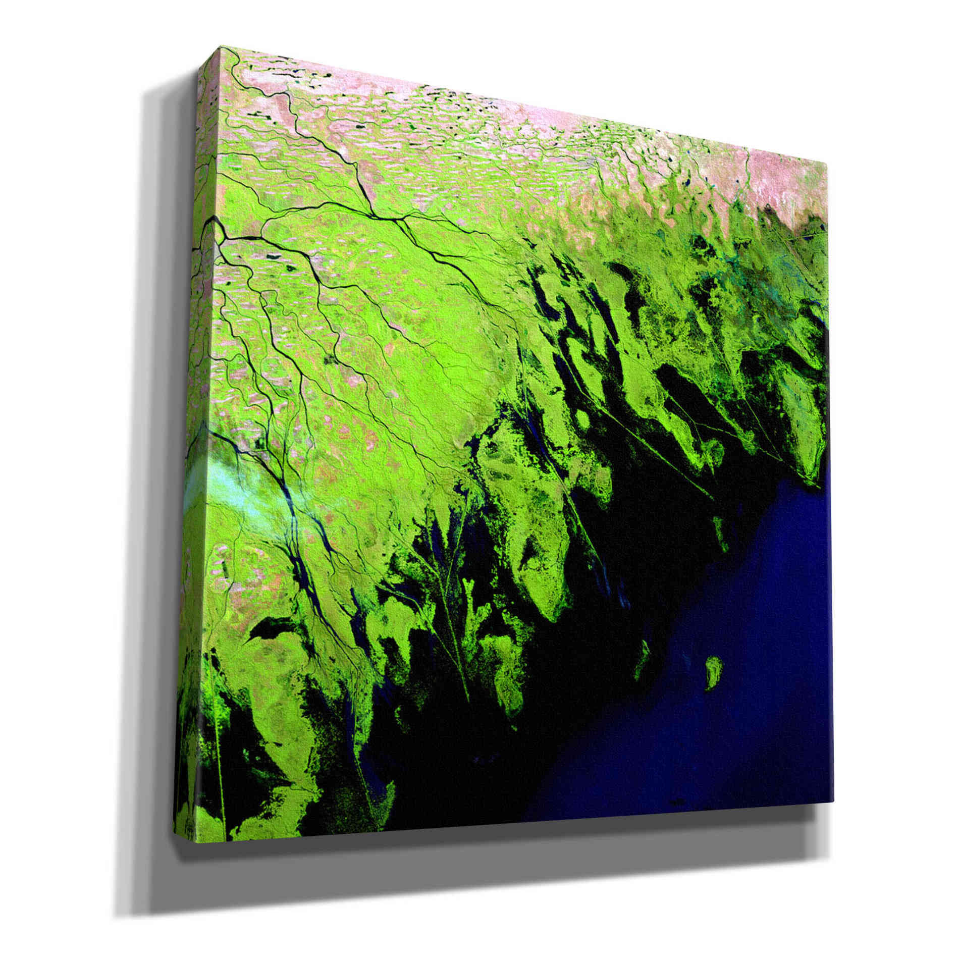 'Earth as Art: Volga River Delta' Canvas Wall Art