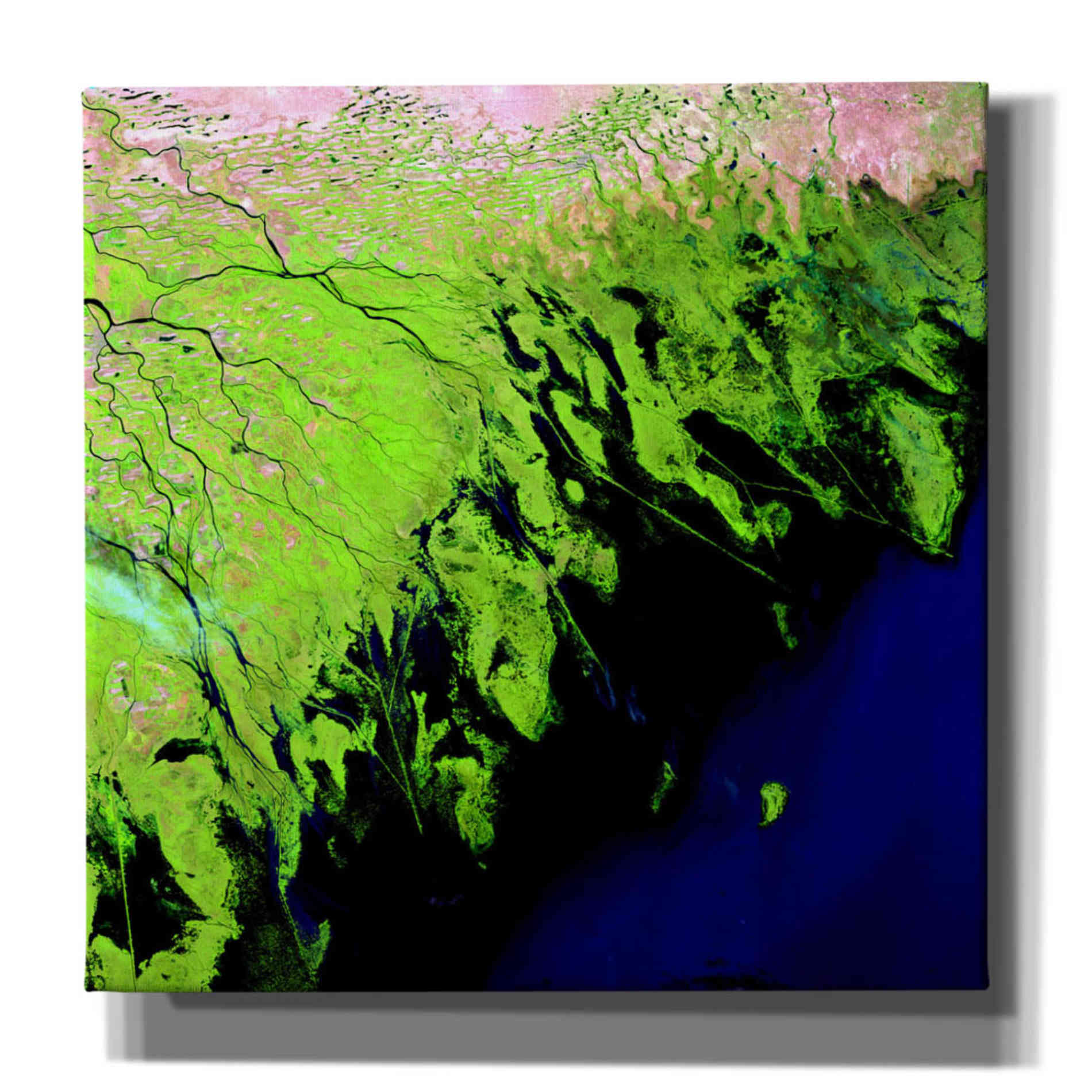 'Earth as Art: Volga River Delta' Canvas Wall Art