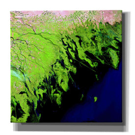 'Earth as Art: Volga River Delta' Canvas Wall Art