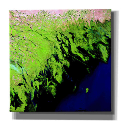 Image of 'Earth as Art: Volga River Delta' Canvas Wall Art
