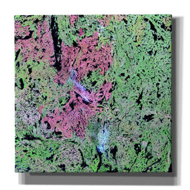 'Earth as Art: Yellowknife Wetlands' Canvas Wall Art