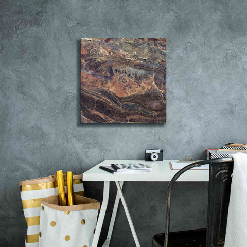 Image of 'Earth as Art: Gosses Bluff' Canvas Wall Art,18 x 18