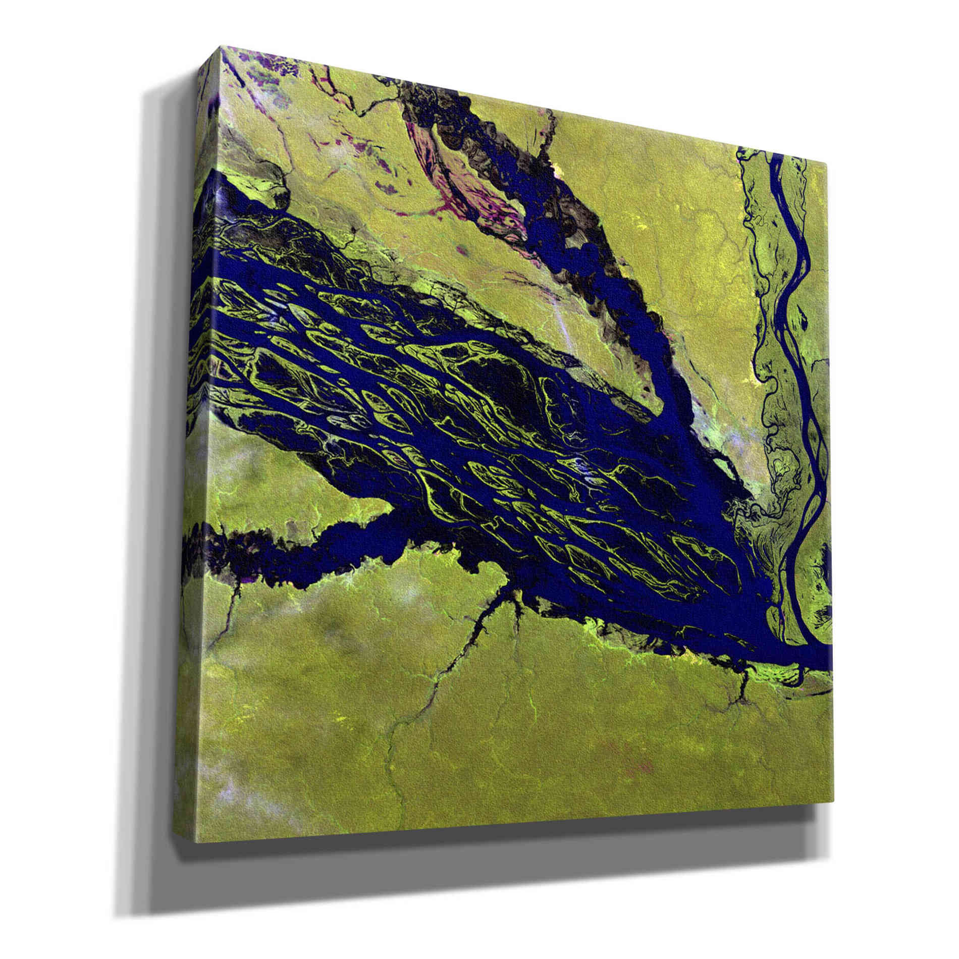 'Earth as Art: Jau Park' Canvas Wall Art