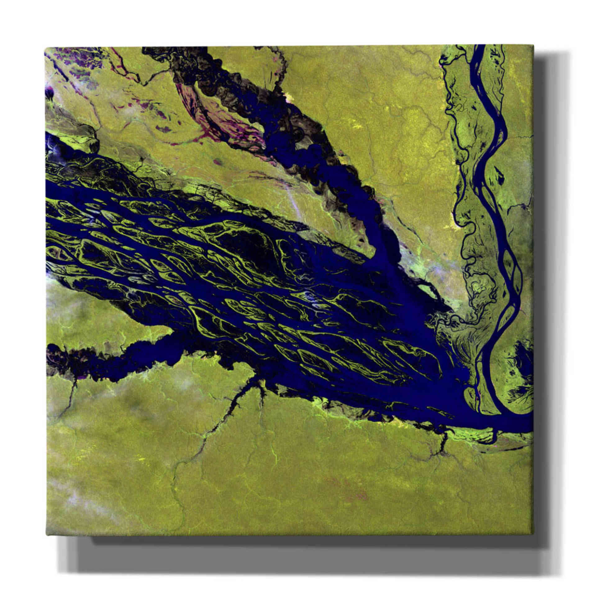 'Earth as Art: Jau Park' Canvas Wall Art