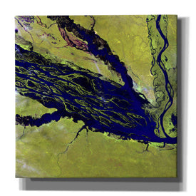 'Earth as Art: Jau Park' Canvas Wall Art