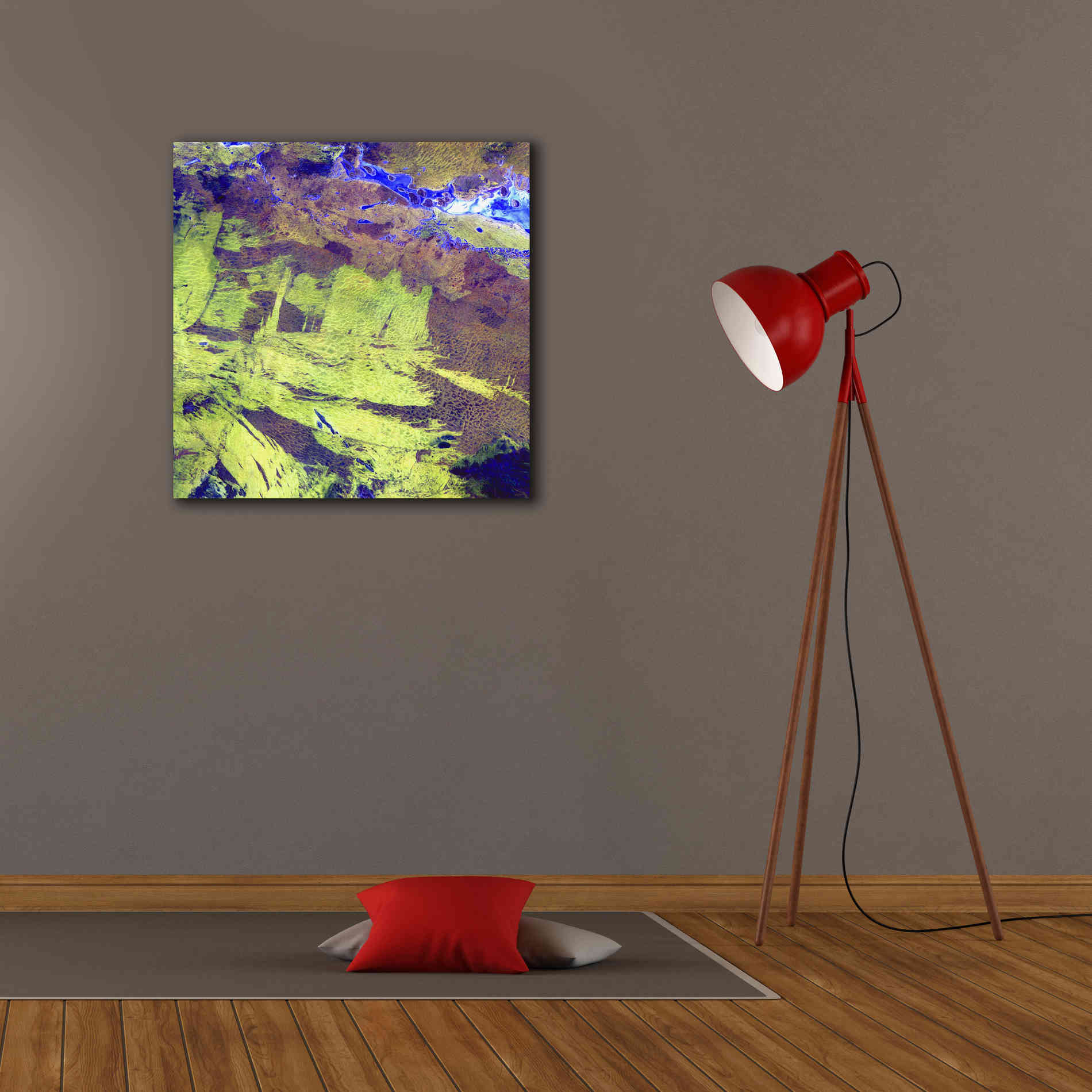 'Earth as Art: Lake Amadeus' Canvas Wall Art,26 x 26