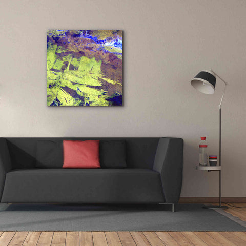 Image of 'Earth as Art: Lake Amadeus' Canvas Wall Art,37 x 37
