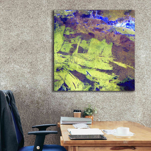 'Earth as Art: Lake Amadeus' Canvas Wall Art,37 x 37