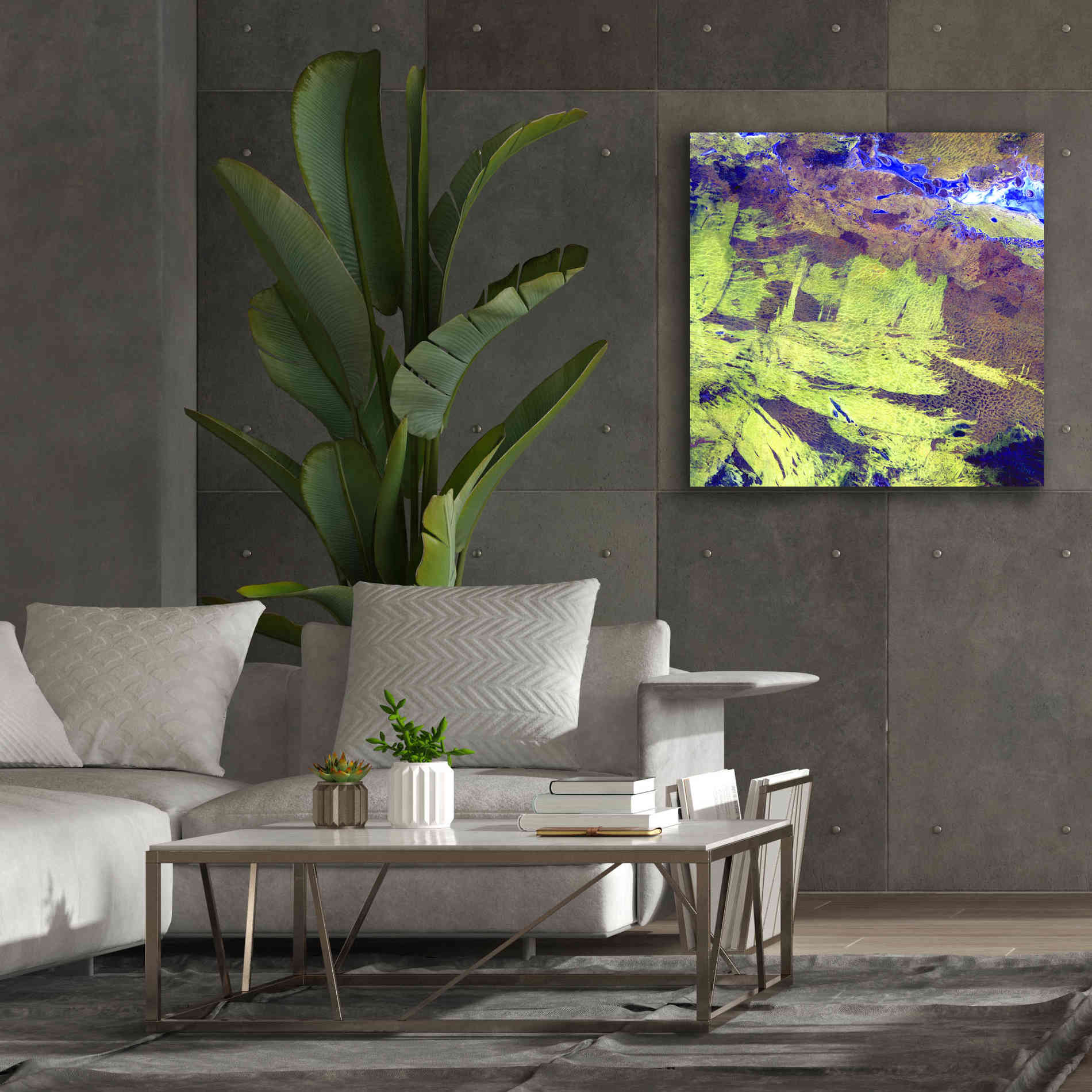 'Earth as Art: Lake Amadeus' Canvas Wall Art,37 x 37