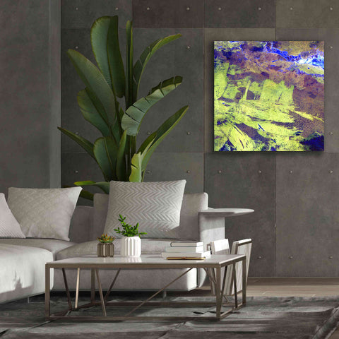 Image of 'Earth as Art: Lake Amadeus' Canvas Wall Art,37 x 37