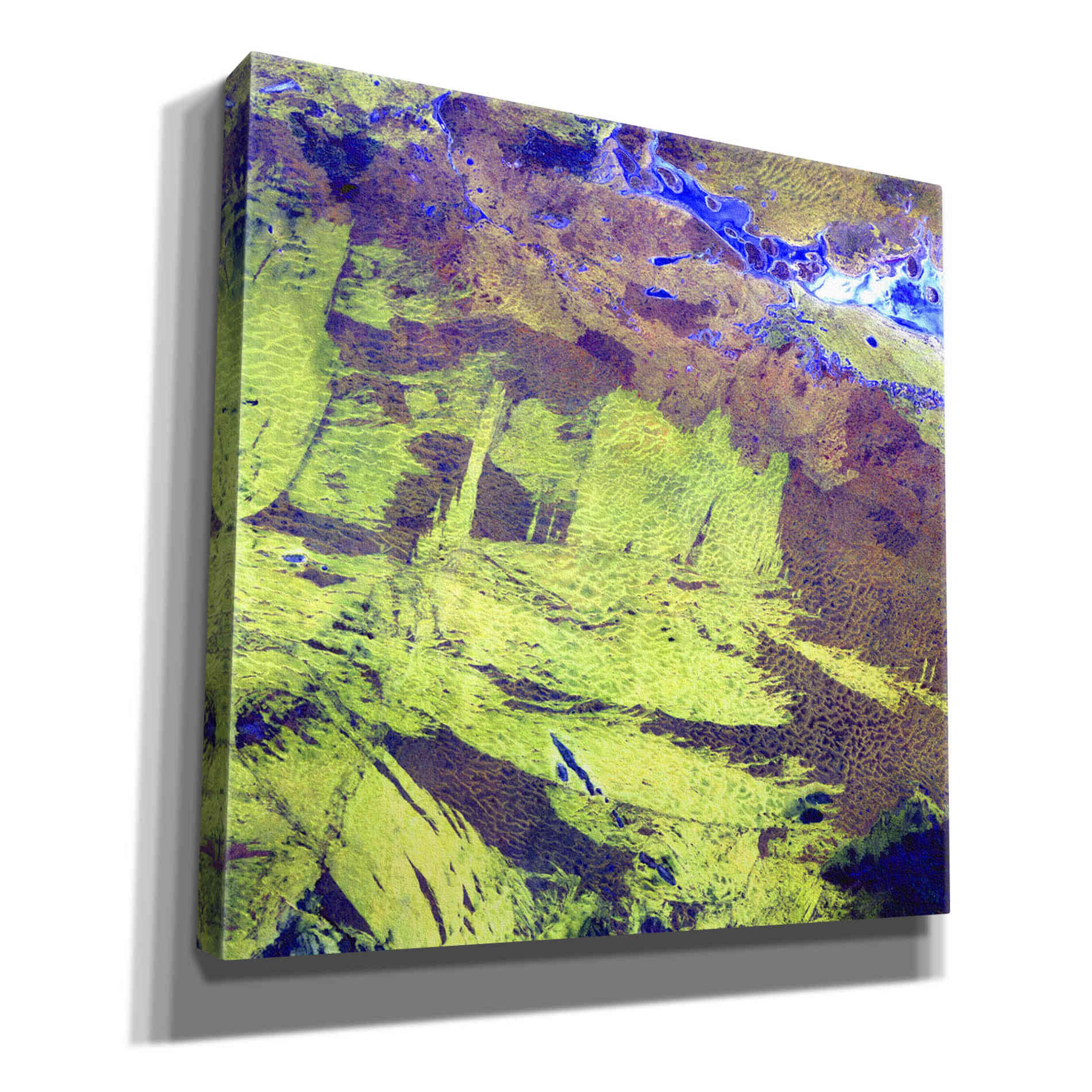 'Earth as Art: Lake Amadeus' Canvas Wall Art