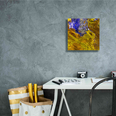 Image of 'Earth as Art: Lake Disappointment' Canvas Wall Art,12 x 12