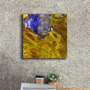 'Earth as Art: Lake Disappointment' Canvas Wall Art,18 x 18